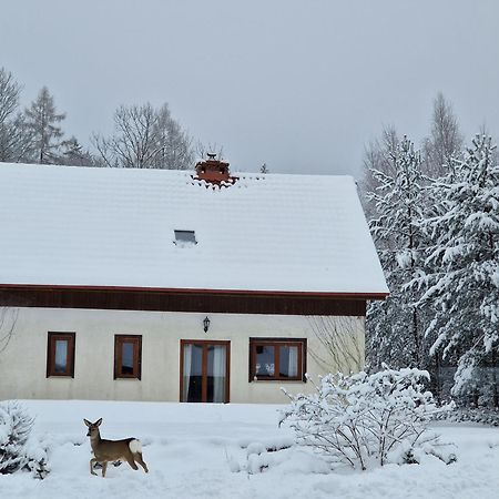 Willa Dom Na Pstrążnicy Kudowa-Zdrój Zewnętrze zdjęcie