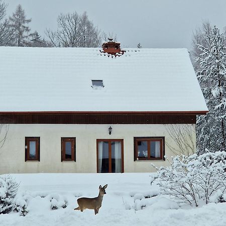 Willa Dom Na Pstrążnicy Kudowa-Zdrój Zewnętrze zdjęcie