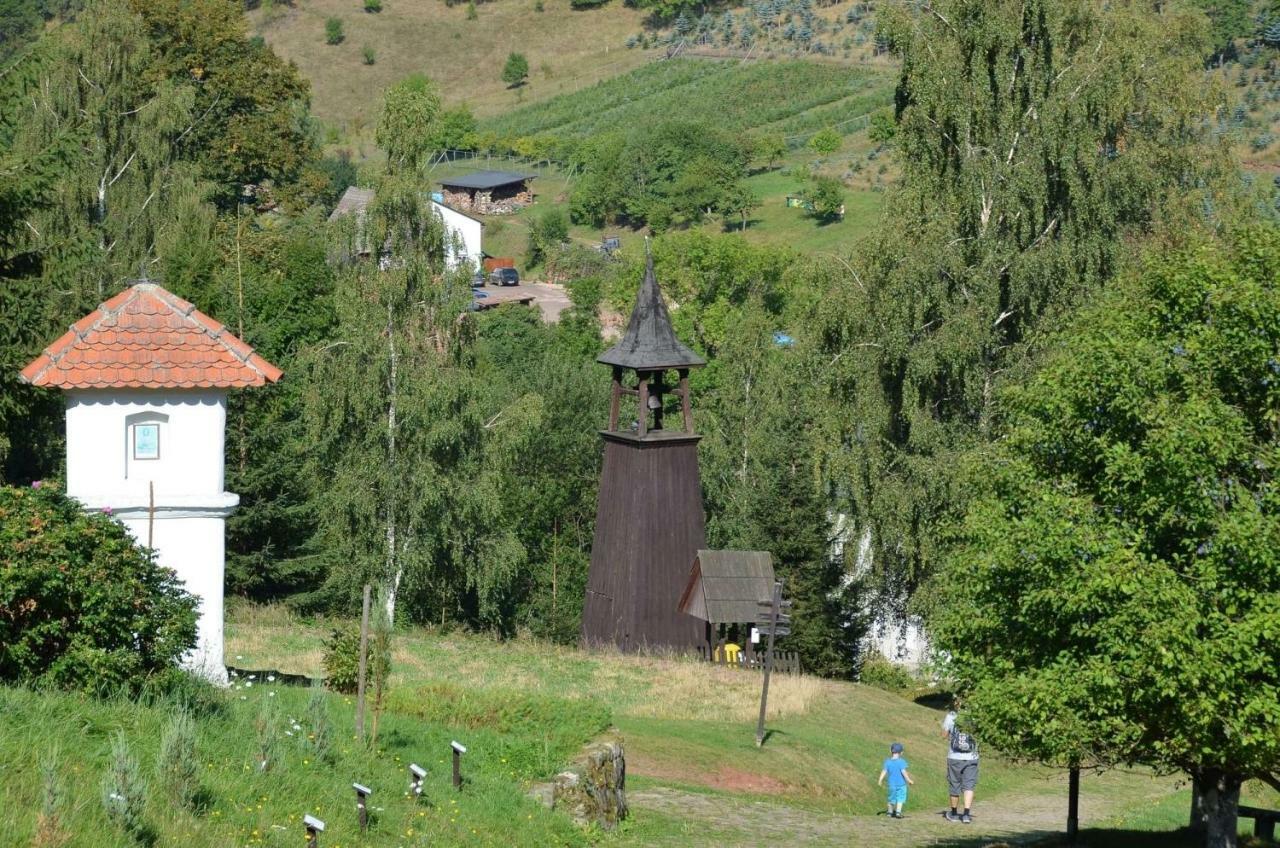Willa Dom Na Pstrążnicy Kudowa-Zdrój Zewnętrze zdjęcie